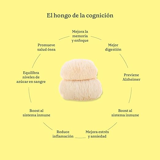 Commons Lion´s Mane - Extracto puro de Melena de León en Polvo 100g
