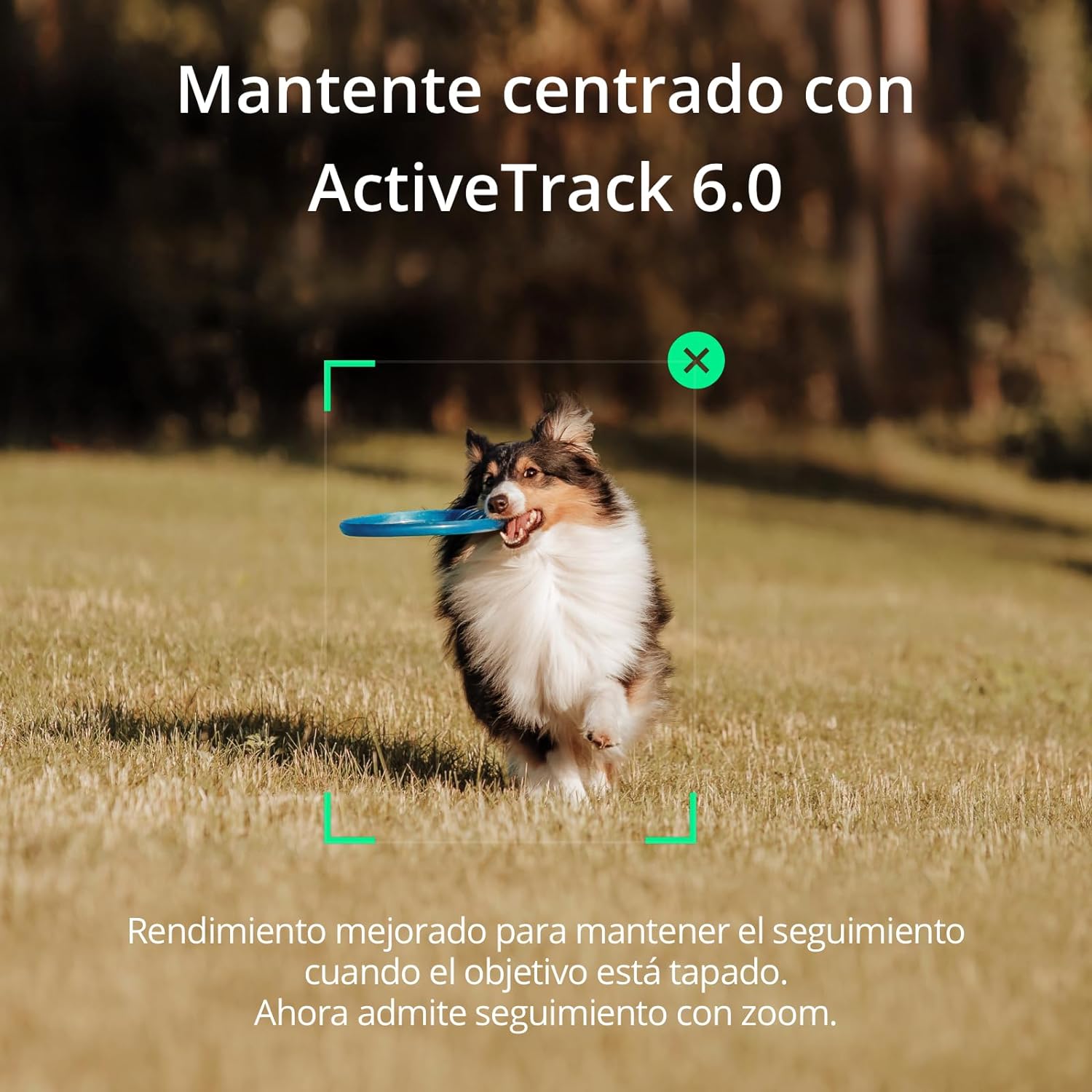 DJI Osmo Mobile SE, Estabilizador Inteligente en Tres Ejes para teléfonos