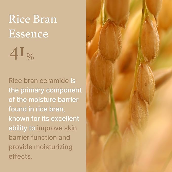 Crema de arroz de 1.6 onzas, 41% esencia de salvado de arroz con ceramida