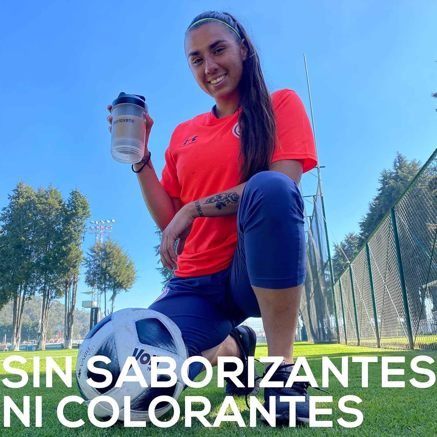 Becrickets Proteína de Grillo con Prebióticos